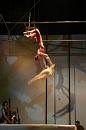 vertige du papillon 024 * 2336 x 3504 * (4.07MB)